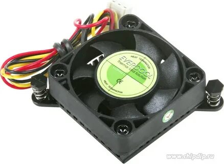 D vc