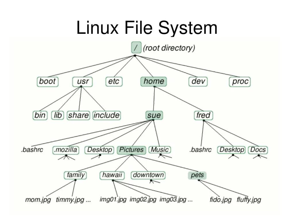 File system id