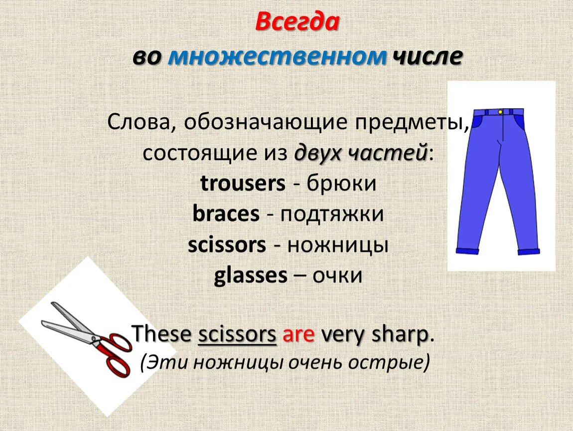 Джинсы в единственном числе. Штаны во множественном числе. Одежда во множественном числе. Брюки во множеством числе в англ.