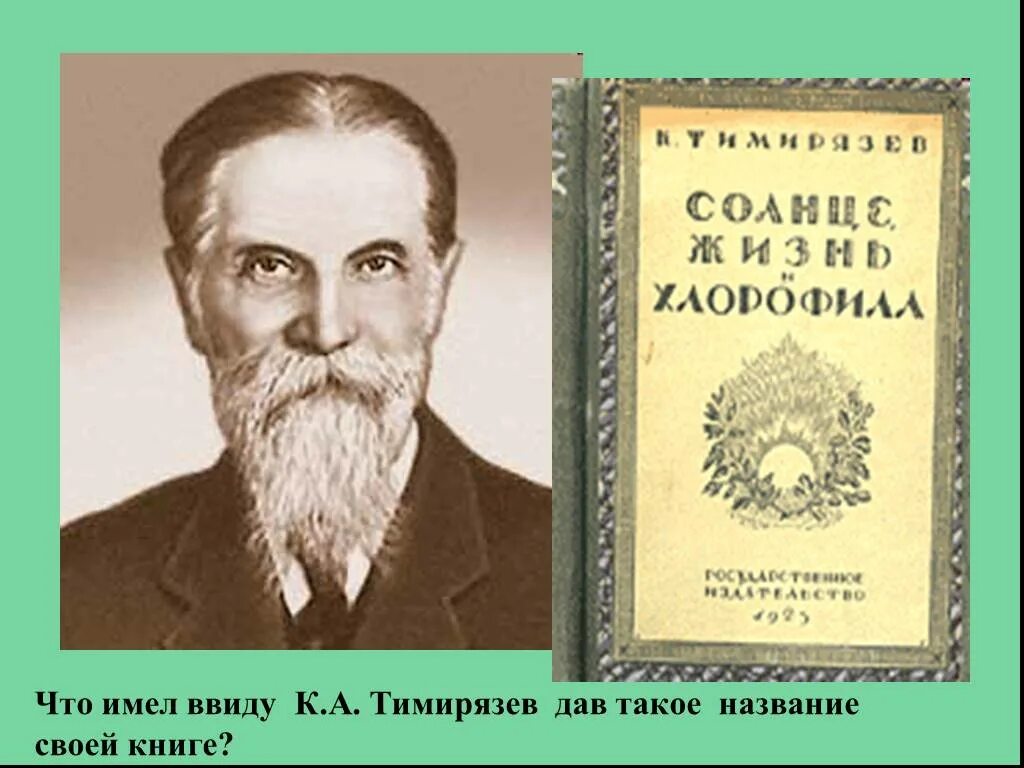 Впервые значение хлорофилла установил русский ученый. Тимирязев. Тимирязев фото. Тимирязев фотосинтез.