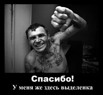 Песни век воли не видал