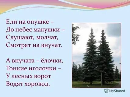 Опушка леса стихотворение