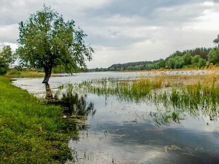 Александровка ульяновская область мелекесский