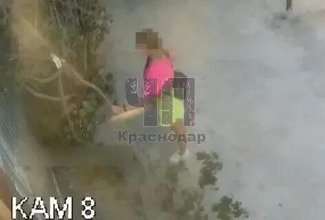 Чужой двор