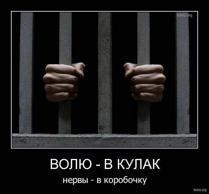 Волю собрав. Демотиваторы про тюрьму. воля в кулаке. собери волю в кулак. жизнь за решеткой.