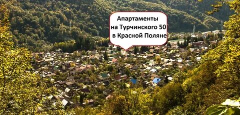 Ул турчинского 24 красная поляна