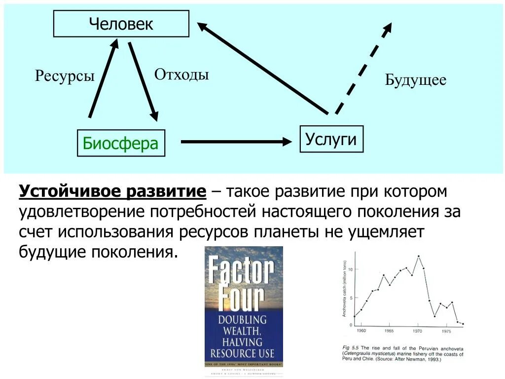 Можно ли считать завершенным процессом формирования биосферы. Устойчивое развитие биосферы. Механизмы устойчивости биосферы. Проблемы устойчивого развития биосферы кратко. Концепция устойчивого развития биосферы.