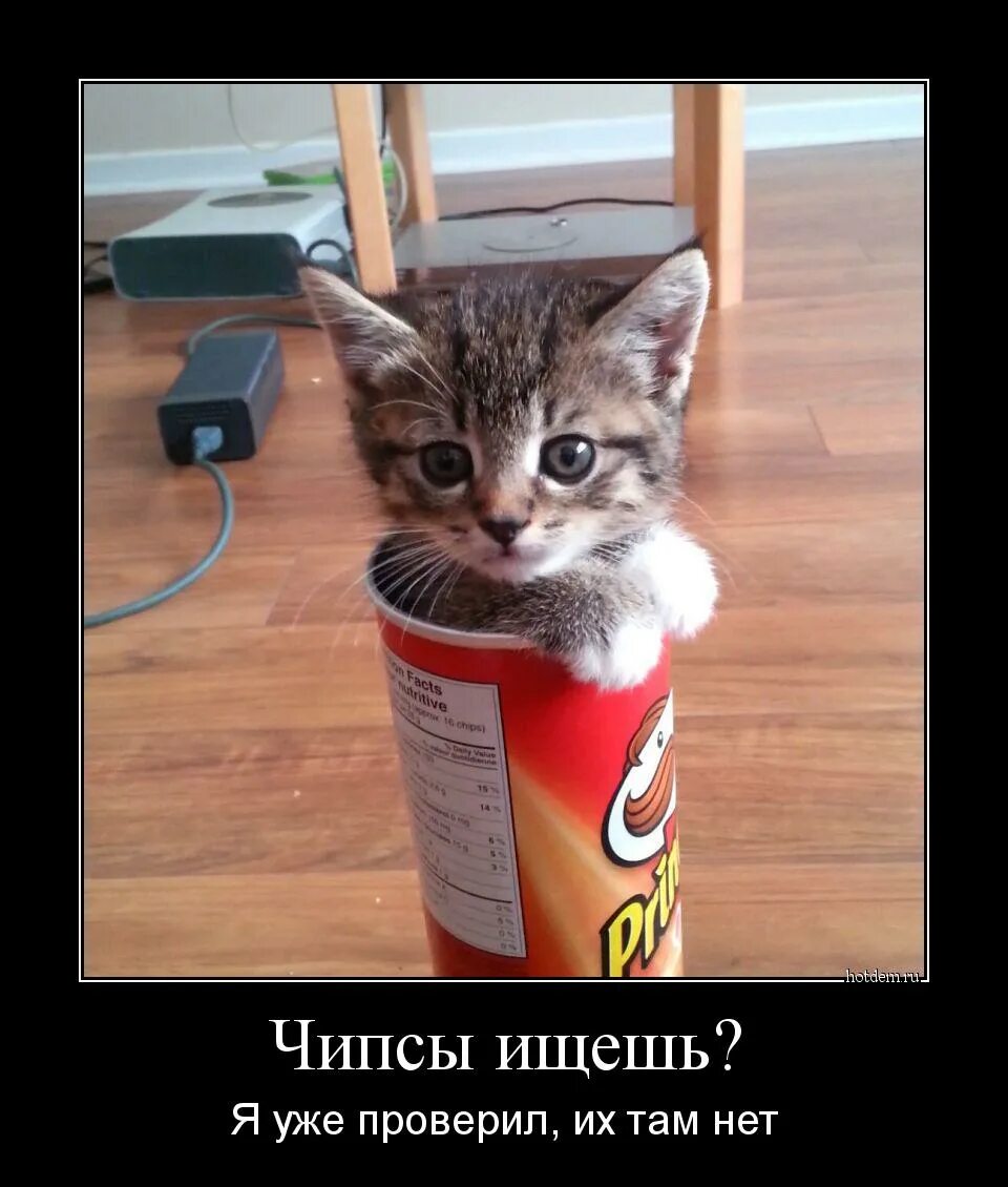 Я уже проверил что