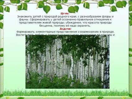 Изучаю природу родного края