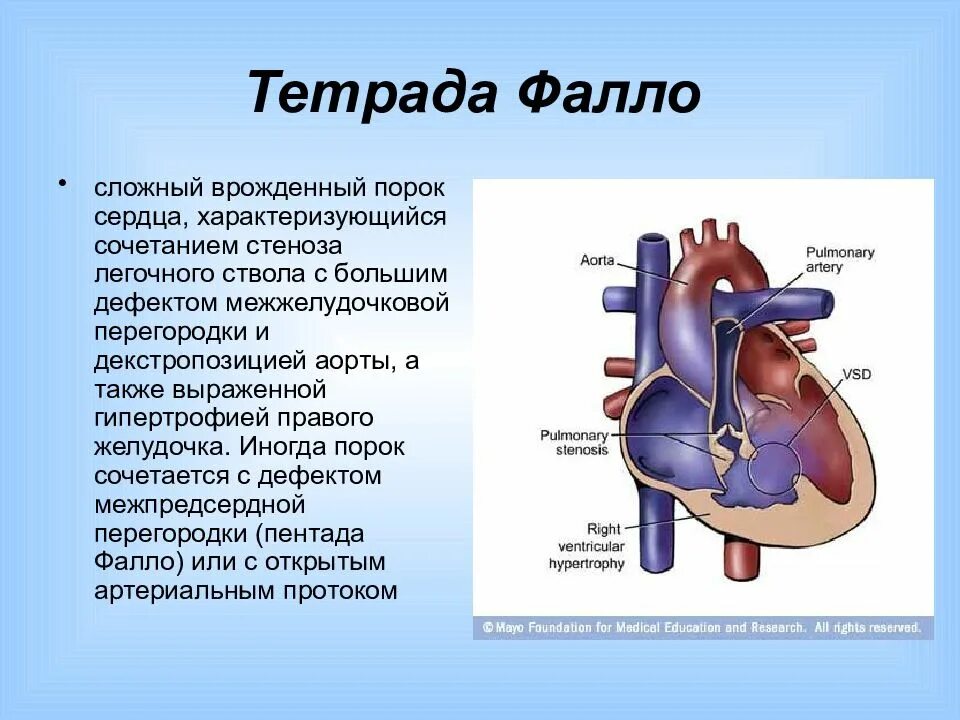 Впс сервис