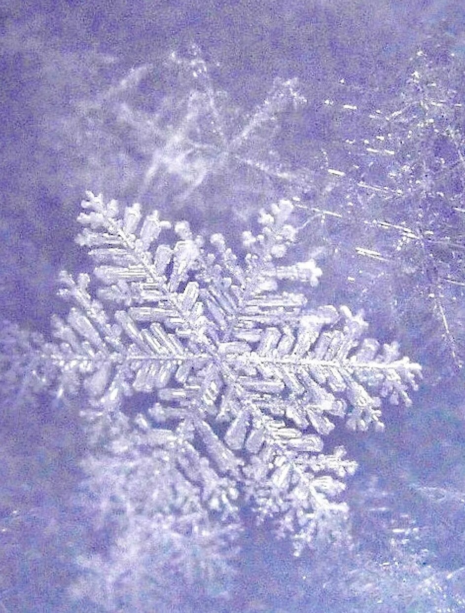 Снежинки снегопад. Снег 2 снежинки. Снежинки снегопад. Две снежинки. Зима снег снежинки.