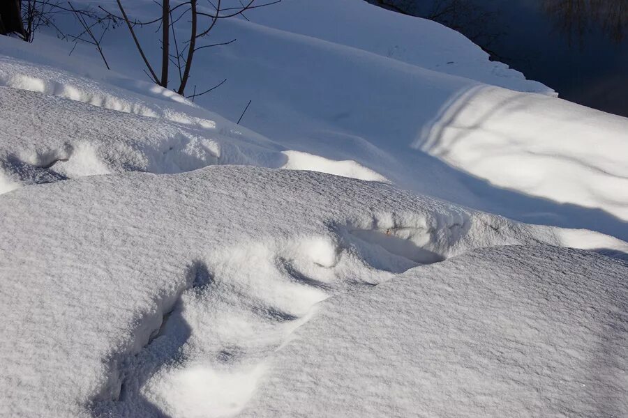 весенний снегопад в краснодарском крае. подснежник. какой снег в марте. какой снег в марте. весенний снегопад.