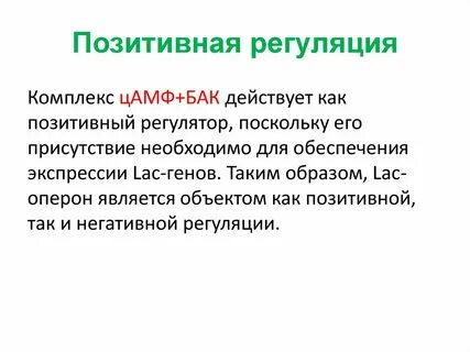 Положительный геном