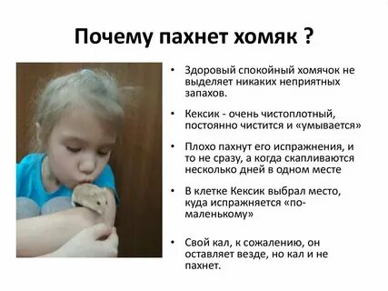 Почему пахнет куртка