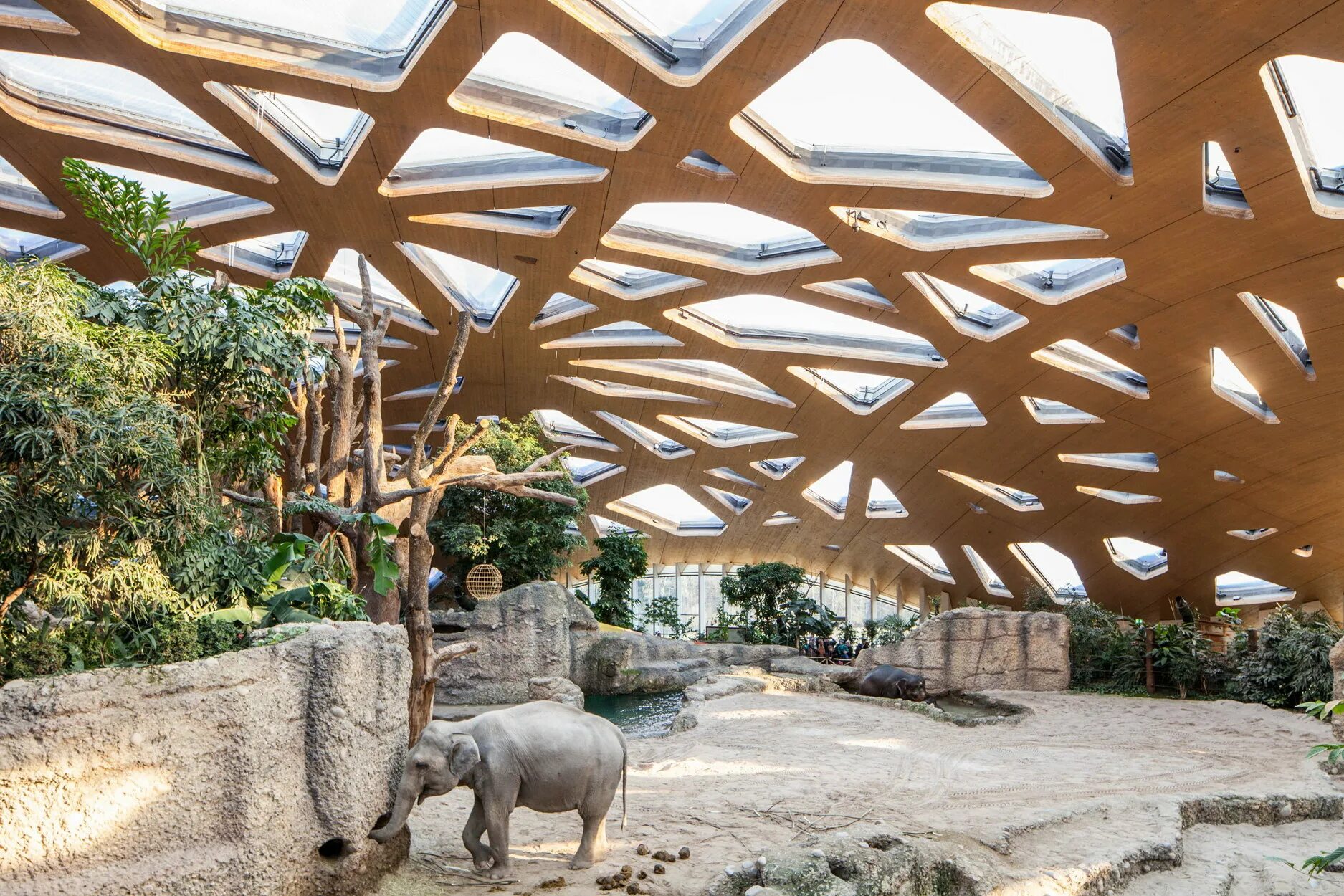 Elephant house. Зоопарк Сингапур архитектура. Современный зоопарк. Зоопарк здание. Проекты зоопарков архитектура.
