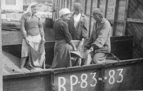 колхоз сдал. председатель колхоза ссср. мичурина в тюменской области. колхоз хабаровского края. великая отечественная война труженики тыла.