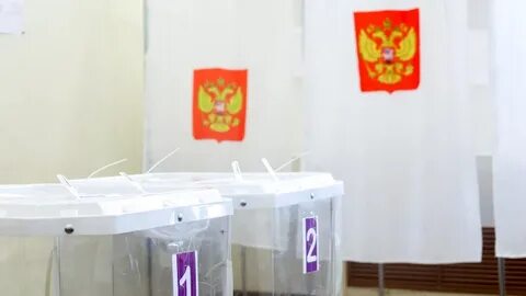 Кто победил на выборах в подмосковном пушкино