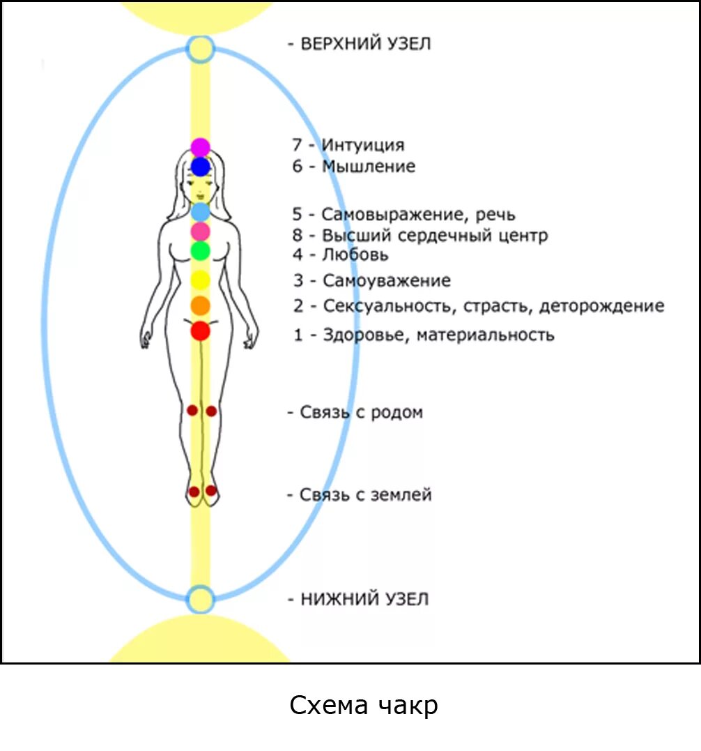 Энергетические центры человека схема расположения. За что отвечают чакры человека энергетические центры. Энергетические+чакры+человека+схема. Основные чакры вид спереди. Чакры названия и расположение