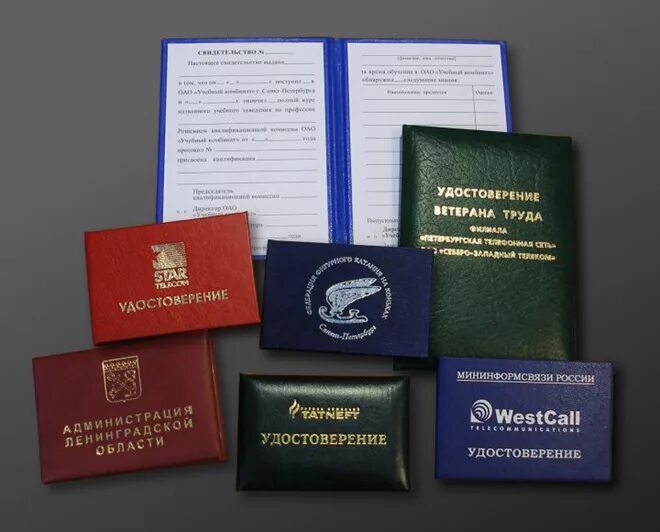 свидетельство размеры