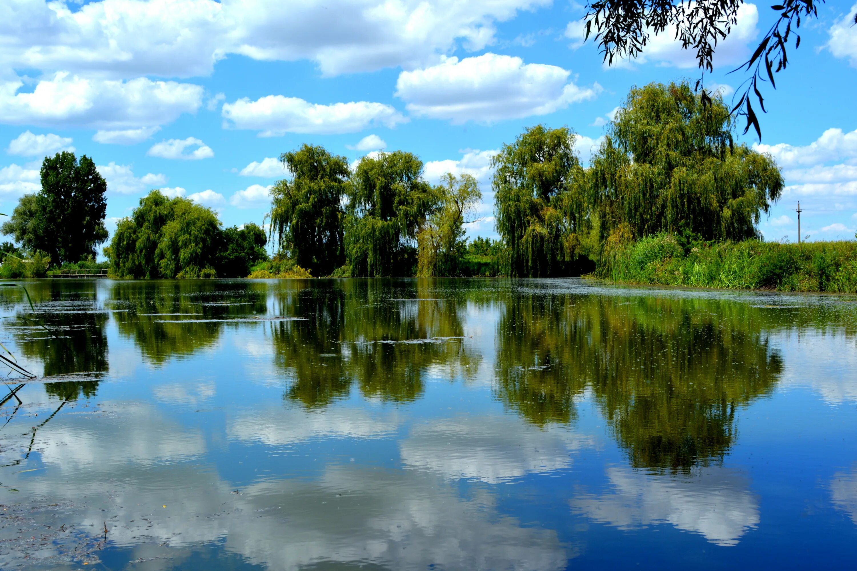 Погода на озере вода. Озеро летом. Летний пейзаж. Пейзаж лето. Пейзаж озеро.