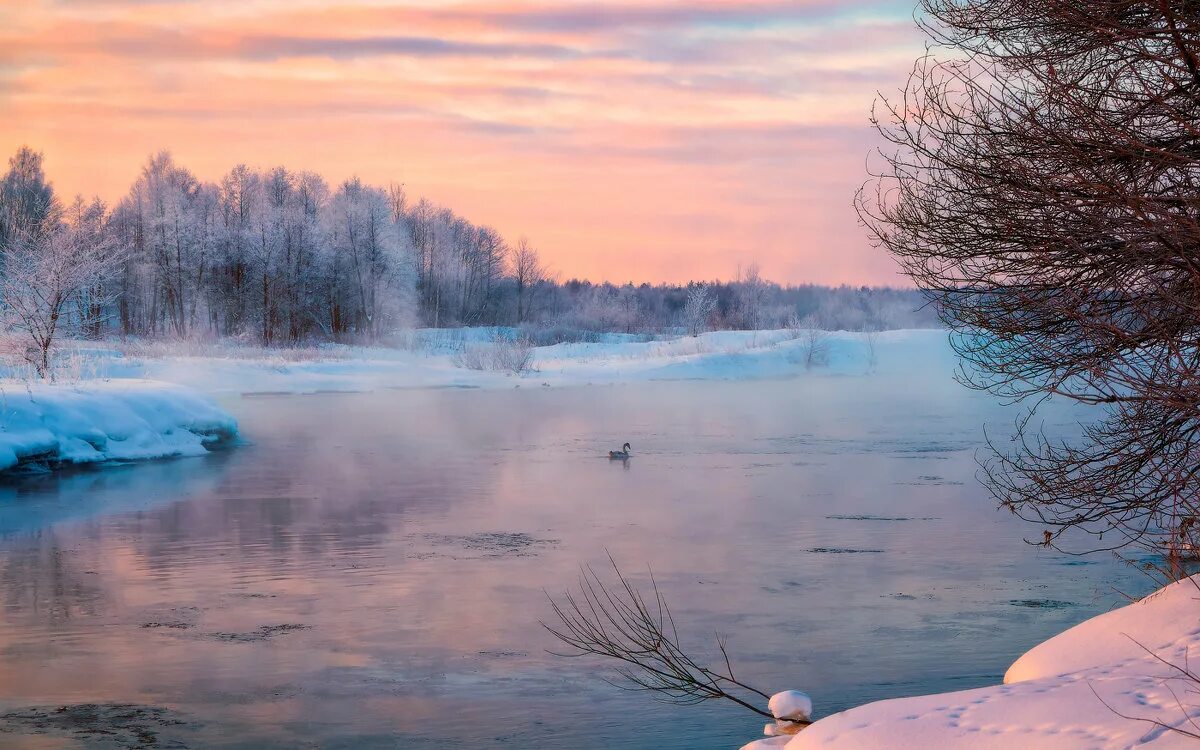 палыня. зимний пейзаж с рекой. застыл над рекою. холодный пейзаж. зима река туман.