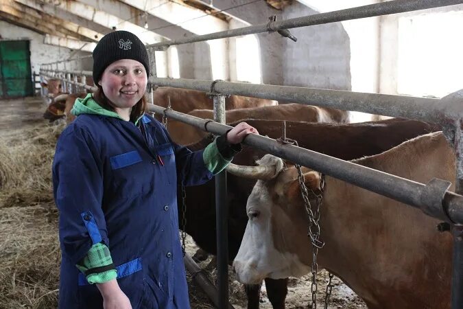 животноводы готовы к зиме. дом животновода. ул животноводов. молочная ферма. животновод.