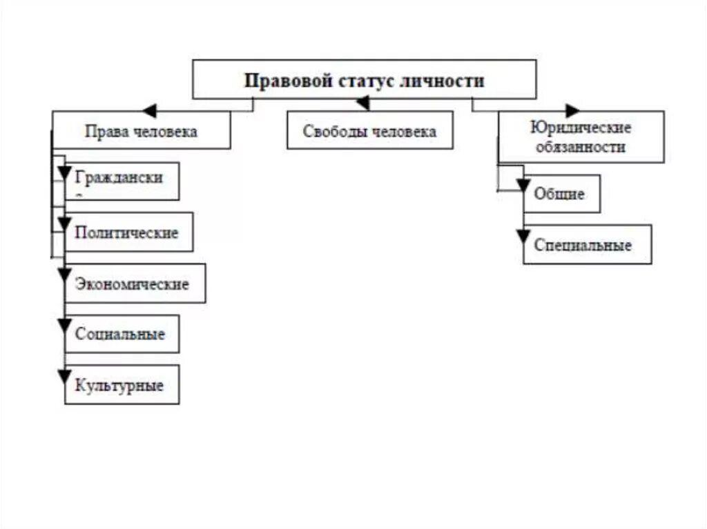 Правовой статус личности схема. Элементы структуры правового статуса личности. Виды правового статуса личности схема. Структура правового статуса схема. Виды юридических состояний