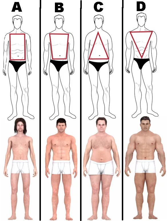 This type of body