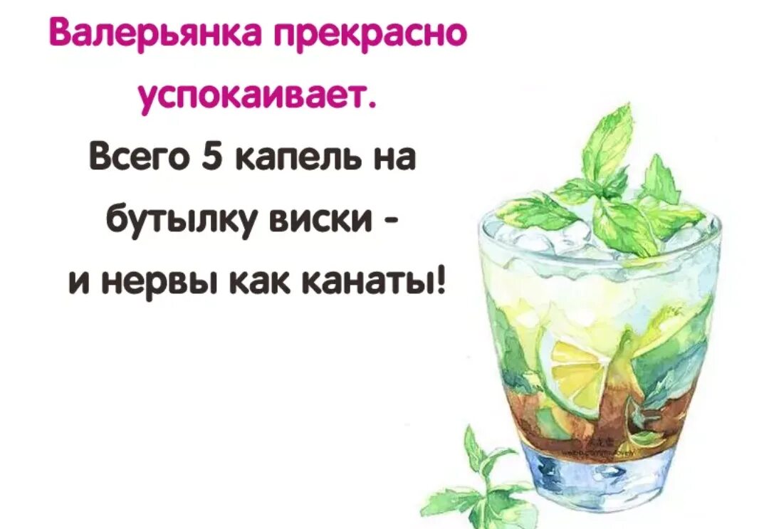 Сколько нужно валерьянки чтобы успокоиться. Валерьянка прекрасно успокаивает всего. Валерьянка прекрасно успокаивает всего 5. Валерьянка прекрасно успокаивает всего 5 капель. Валерьянка прекрасно успокаивает всего 5 капель на бутылку вискаря.