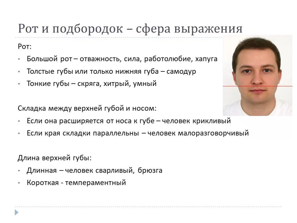 Мужчин характер подбородок. Черты лица человека. Характер человека по лицу. Физиогномика. Описание черт лица.