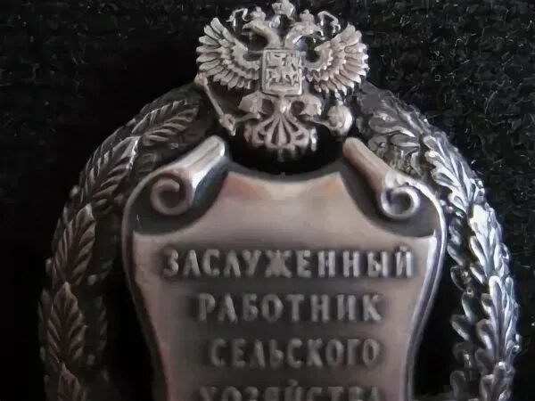 Почетный работник дорожного хозяйства