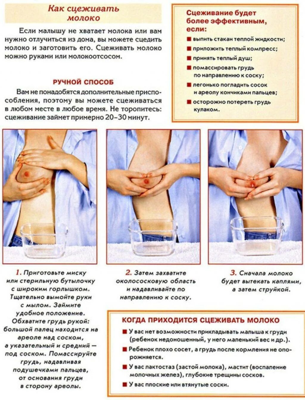 Можно ли взрослому грудное молоко. Правильное сцеживание грудного молока руками. Как правильно сцедить молоко вручную. Как правильно сцеживать грудное молоко в ручную. Как правильно сцедить первое грудное молоко.