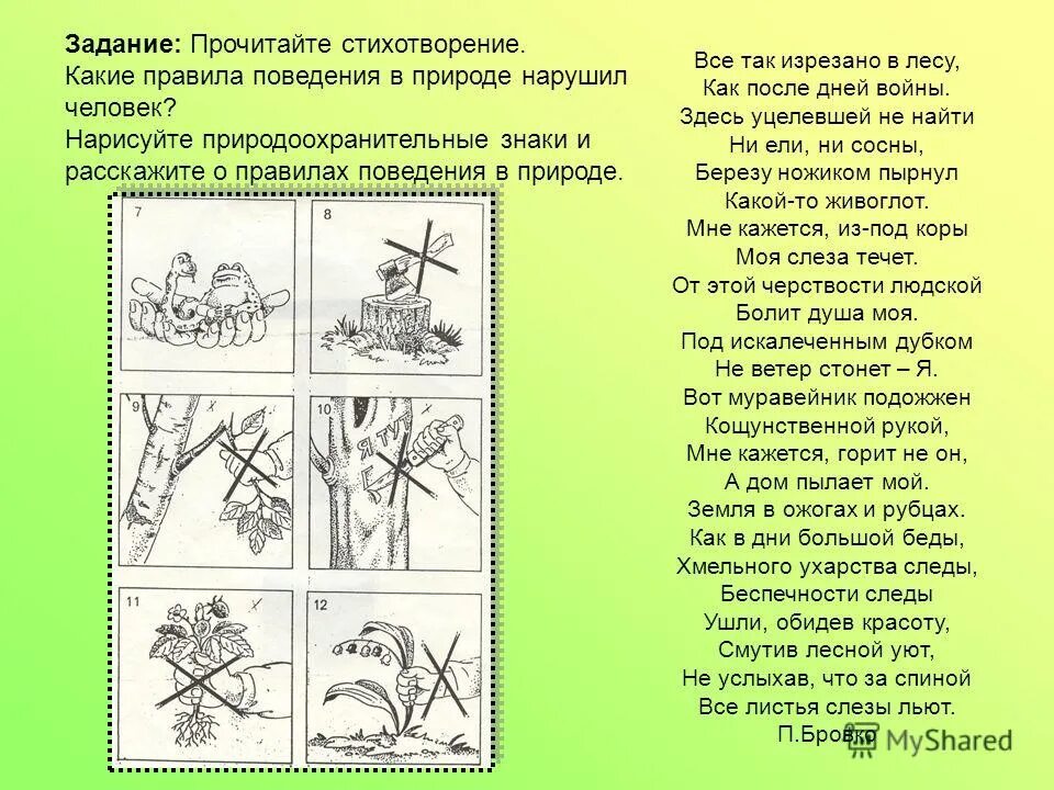 В лесу задание 2 класс. Задания для дошкольников поведение в лесу. правила поведения в лесу. задания для дошкольников поведение в природе. правила поведения на природе.