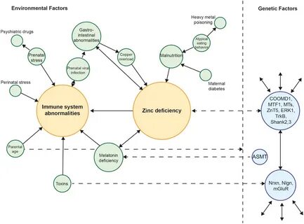 Environmental factors