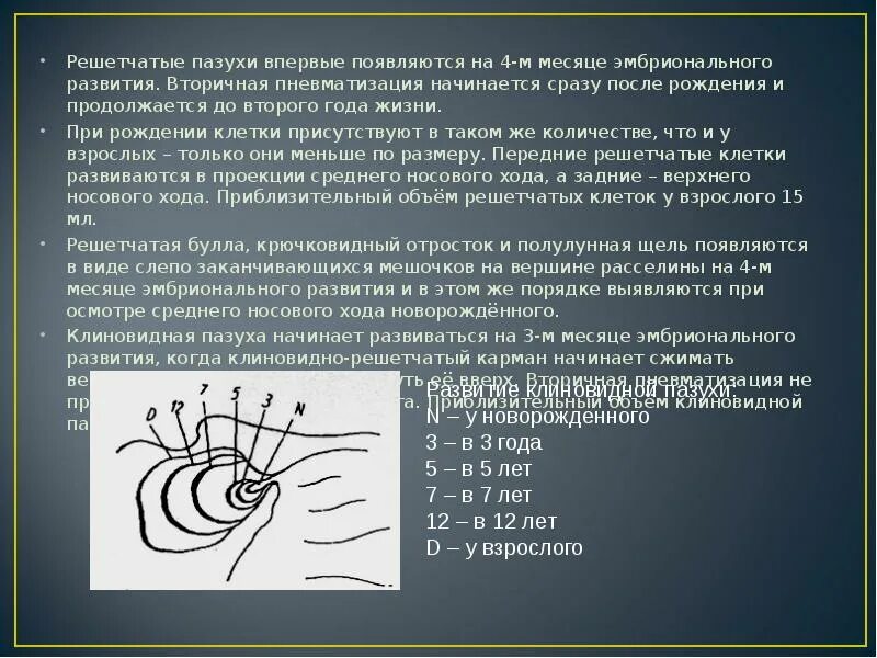 Пневматизированы пазухи носа что значит пневматизированные