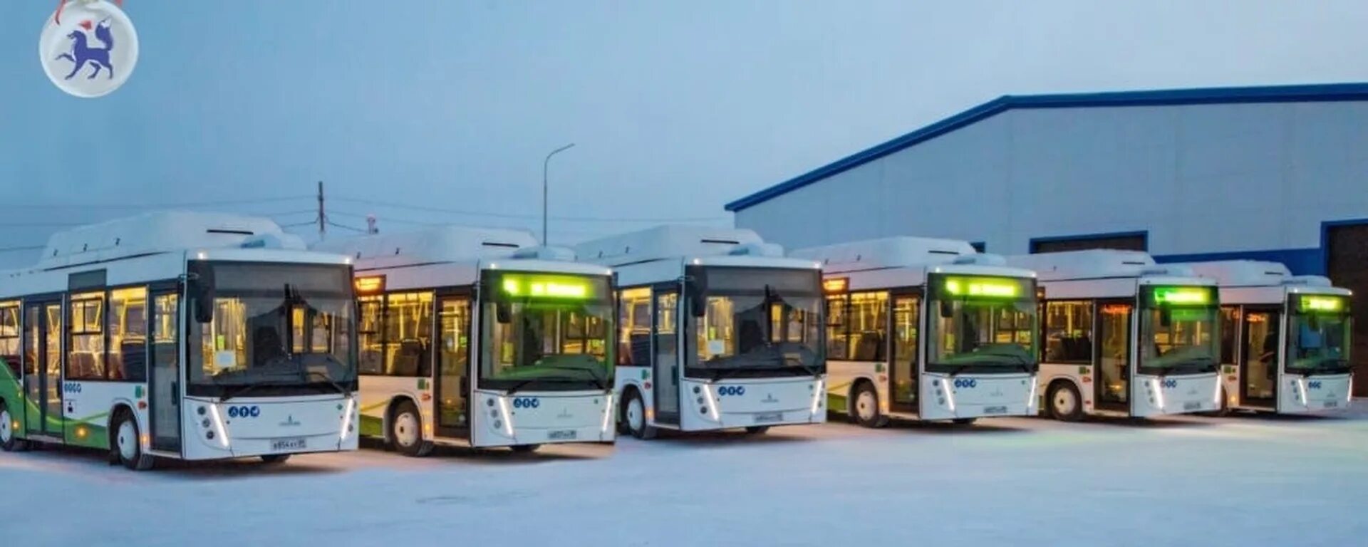 Новые автобусы. Автобус для севера. Экологичный общественный транспорт. Ямальский новый автобус.