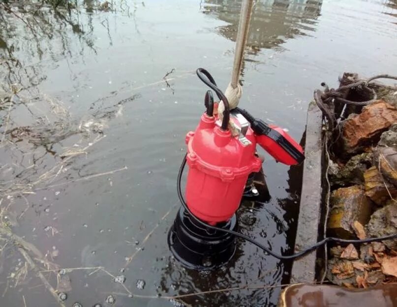 Полив водой из реки. Поверхностный насос для откачки грязной воды. Насосы погружные для водоемов. Погружной насос для пруда. Погружной насос для откачивания из пруда.