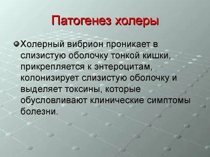 Холера патогенез