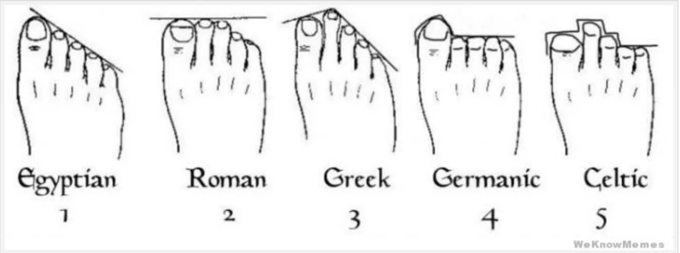 Типы стопы человека. Формы стопы ног у человека. Разная форма пальцев на ногах. Характер по пальцам ног. Нация по пальцам ног.
