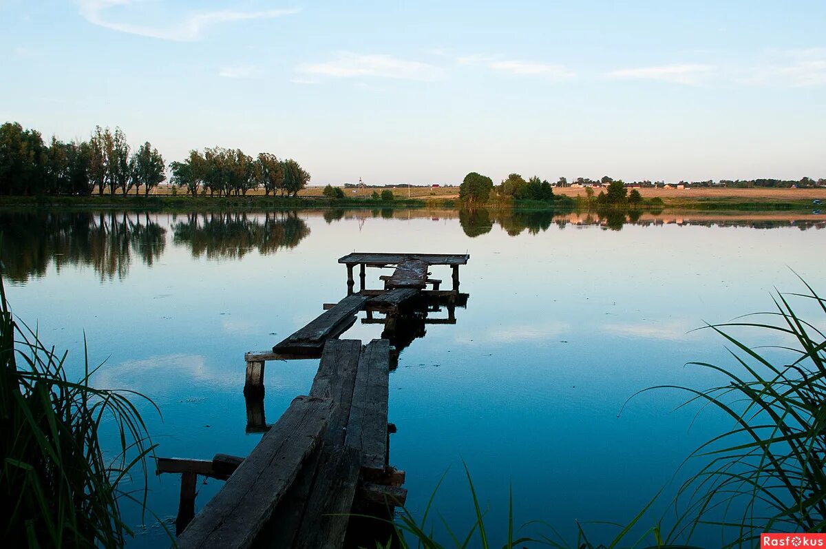 сенгилей. подвесной мост в хотылево. луганская область мостки. речка с мостиком. природа речка мостик.