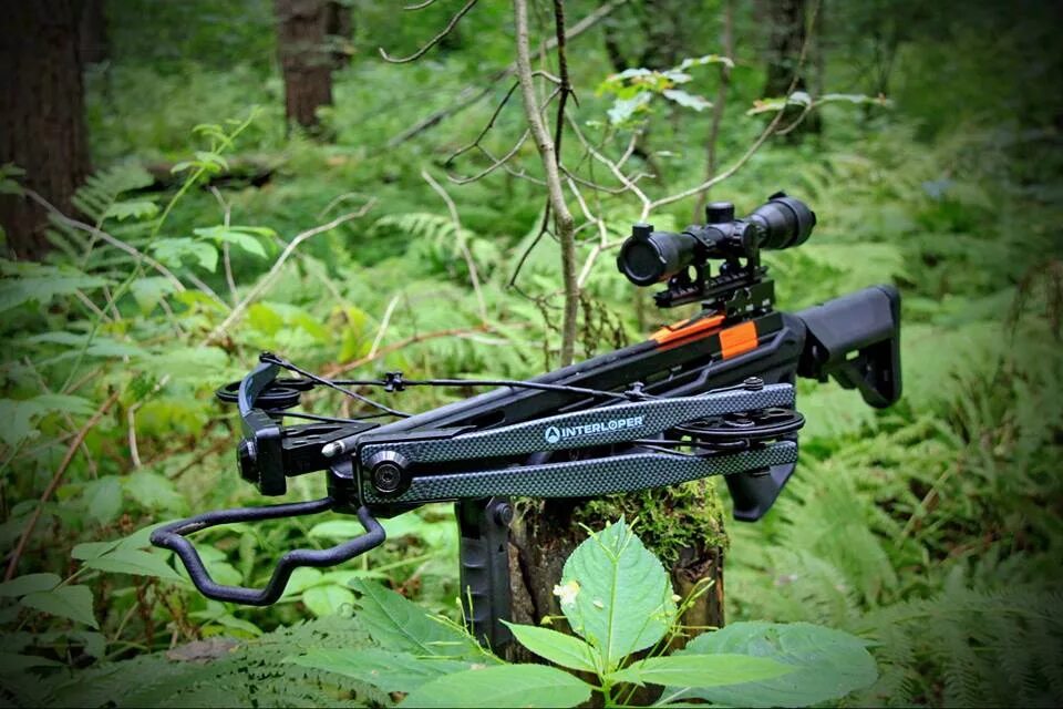 охота мощная. охота с луком. охотничий арбалет. арбалет для охоты. охота мощная.
