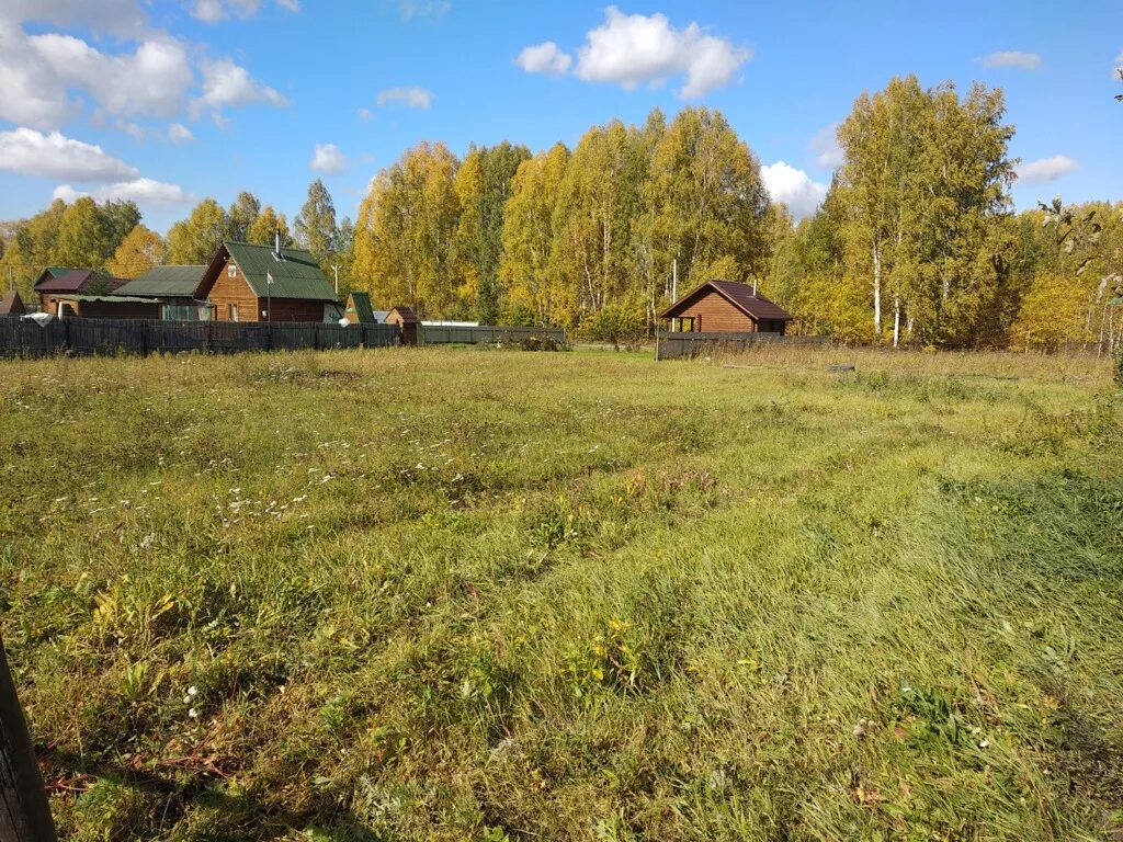 Нст недра криводановка. Снт недра иркутск. Д. Недра 2 криводановка. Криводановка новосибирская область.