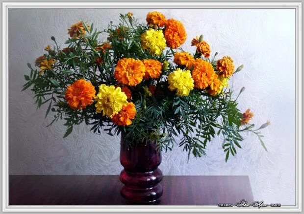 Adorable arrangement Types of flowers, Marigold wedding, Marigold flower
