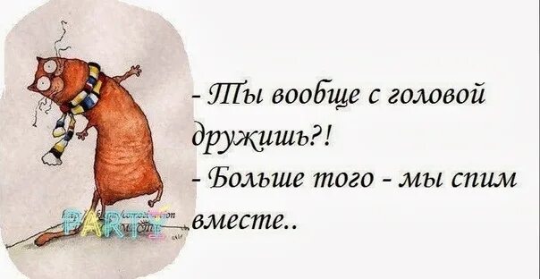 Не дружит с головой. Ты с головой дружишь?. С головой не дружу с ней скучно. Мы не дружим с головой когда я. Не дружит с головой.