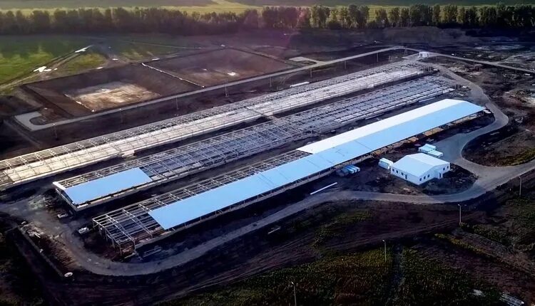 Мираторг курская область. Завод мираторг в курске. мираторг черницыно курская область. завод мираторг в курске черницыно. хладобойня мираторг в курске.