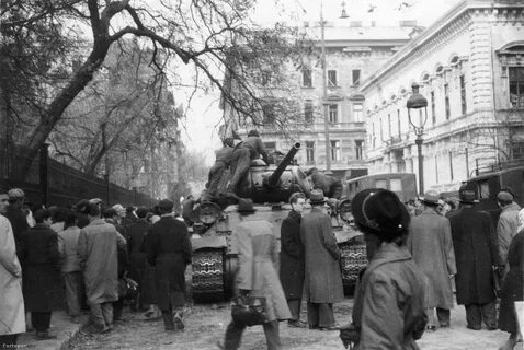 4 ноября 1956