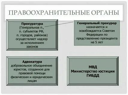 Правительство относится к правоохранительным органам