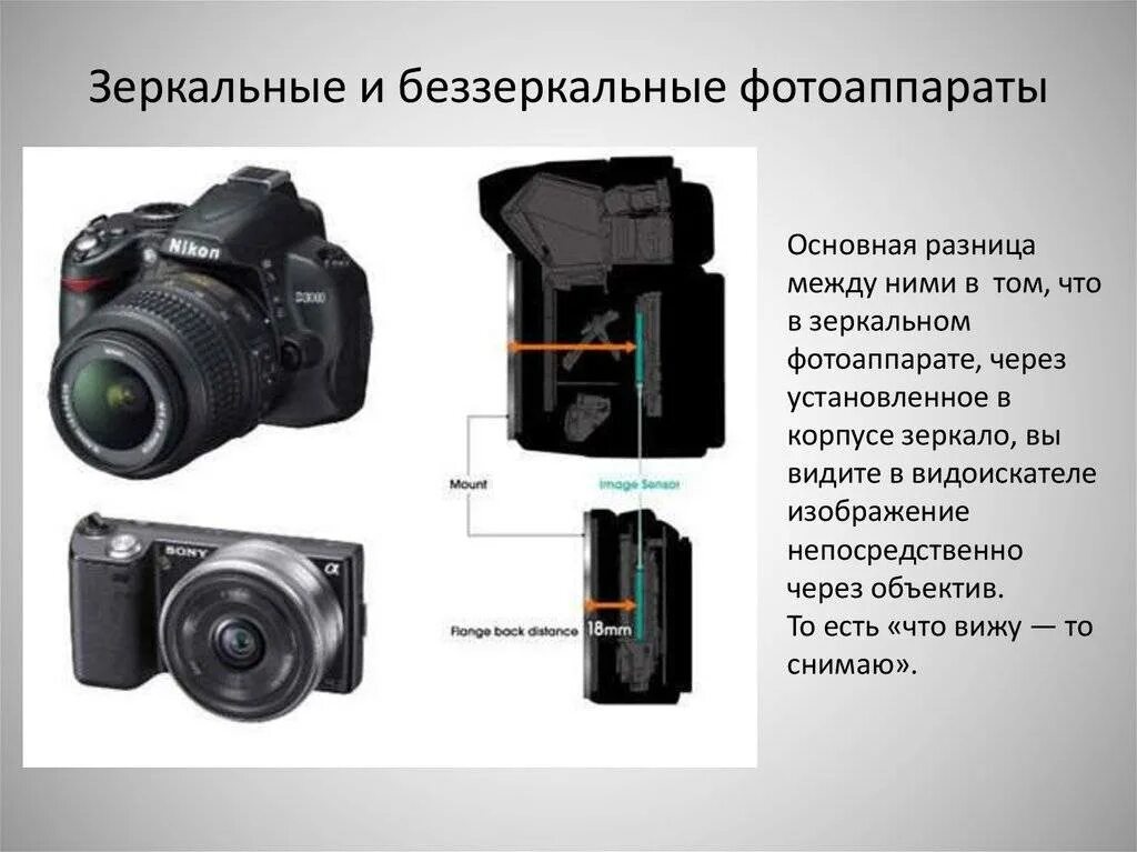 Зеркальная камера какую выбрать. Фотоаппарат DBL C,JRE pthrfkrf. Зеркальная и беззеркальная камера отличия. Беззеркальный цифровой фотоаппарат. Компактный зеркальный фотоаппарат.