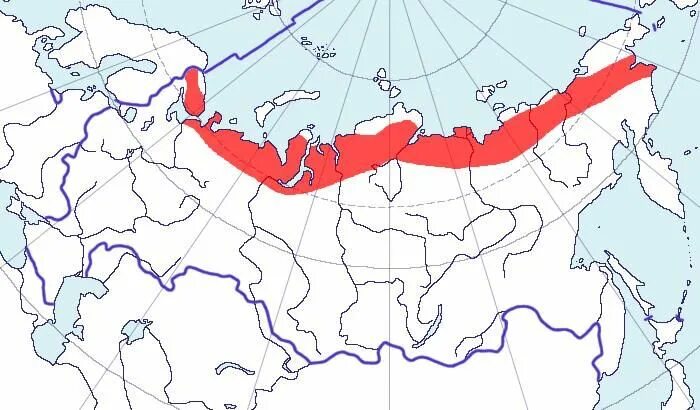 гео положение тундры. территория лесотундры. пискулька ареал. территория лесотундры. лесотундра географическое положение на карте.
