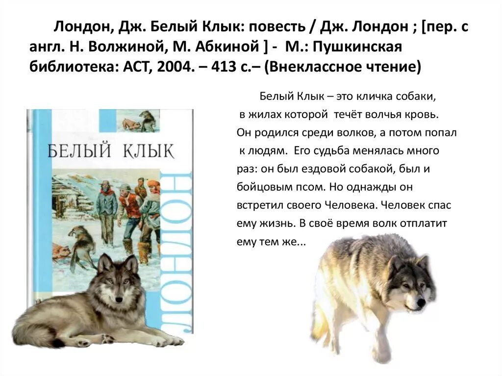 Произведение собака главная мысль. Белый клык Джек Лондон описание. Книга белый клык (Лондон Джек). Рассказ белый клык Джек Лондон. Белый клык описание в книге Джек Лондон.